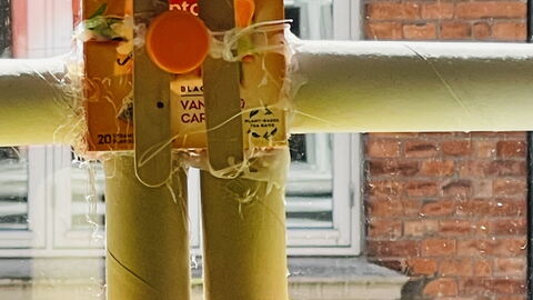 Nørrebro At The Lakes: Room Detail