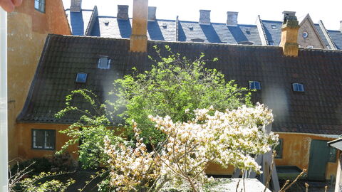 Center - Studio - Close To The King: Outdoor