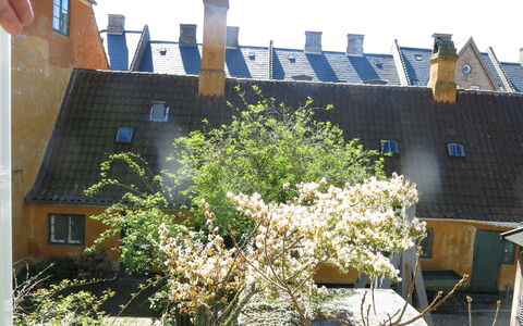 Center - Studio - Close To The King: Outdoor