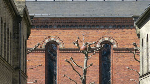 Center - Studio - Close To The King: Outdoor