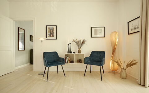 Frederiksberg - 2 Bedrooms: Living Room