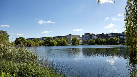 Frederiksberg - 2 Bedrooms: Outdoor