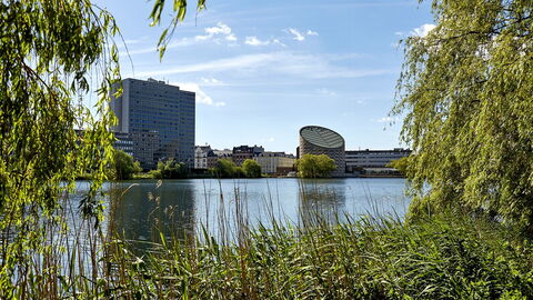 Frederiksberg - 2 Bedrooms: Outdoor