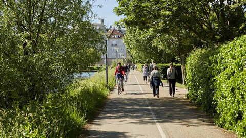 Frederiksberg - 2 Bedrooms: Outdoor