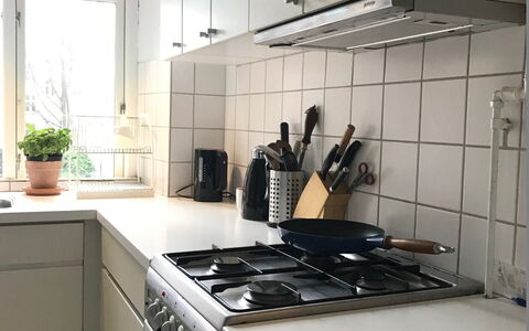 Vesterbro - 2 Bedrooms - Close Tivoli: Kitchen