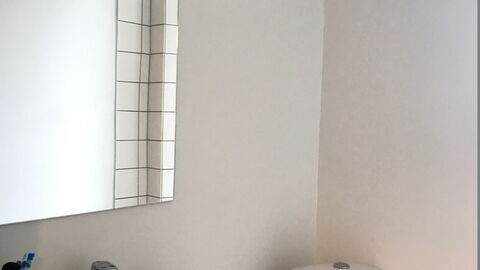 Vesterbro - 2 Bedrooms - Close Tivoli: Bathroom