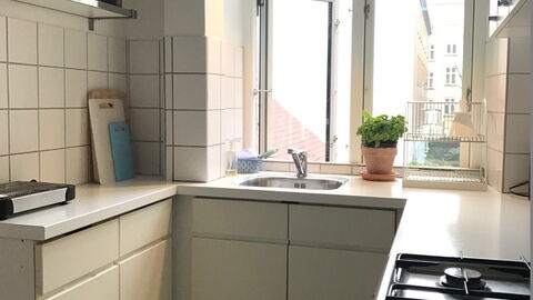 Vesterbro - 2 Bedrooms - Close Tivoli: Kitchen