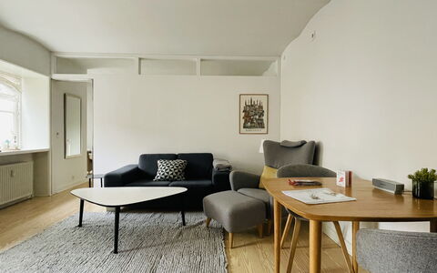 Center - Close To Nyhavn - 2 People: Living Room