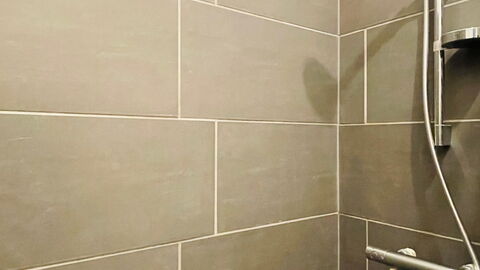 Østerbro - 1 Bedroom Apartment: Bathroom