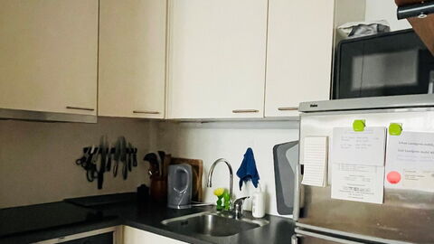 Østerbro - 1 Bedroom Apartment: Kitchen