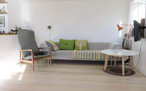 Amager - Perfect For Family With Children: Living Room