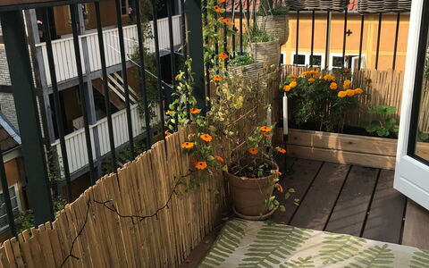 Center - Close To The King: Balcony / Terrace / Patio