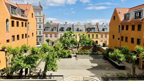 Center - Close To The King: Outdoor, Scenic View