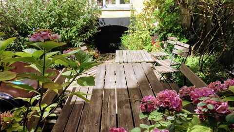 Center - Close To The King: Garden, Outdoor
