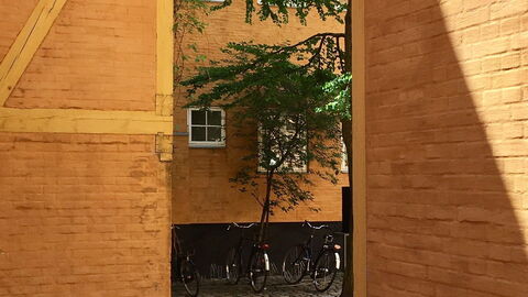 Center - Close To The King: Building Exterior, Garden