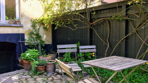 Center - Close To The King: Garden, Outdoor