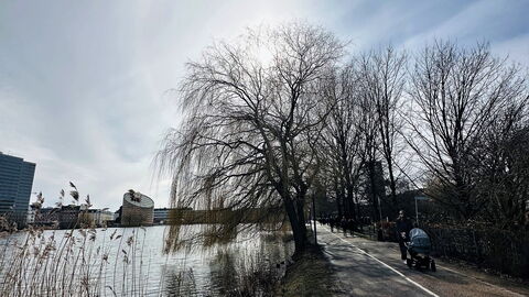 Frederiksberg - 3 Bedrooms - Space For 5: Outdoor