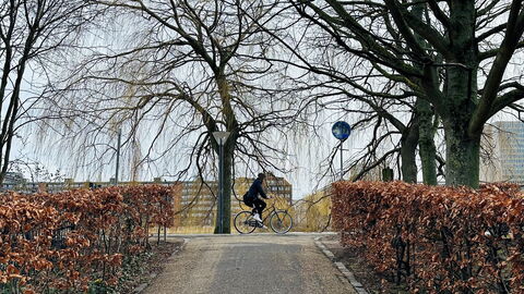 Frederiksberg - 3 Bedrooms - Space For 5: Outdoor