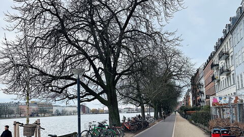 Cozy Area - Super Location - Balcony: Outdoor