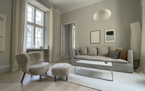 Luxury Apartment In The Heart Of Copenhagen: Living Room