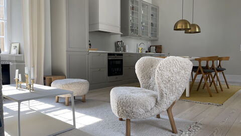 Luxury Apartment In The Heart Of Copenhagen: Living Room