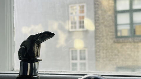 Center-inner City-2 Bedrooms-close To Everything