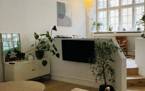 Hellerup - Close To Hellerup Station - 4 People: Living Room