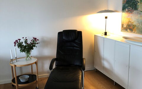 Vesterbro - Center -lakes - 2 Bedrooms: Living Room