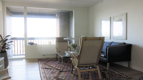 Vesterbro - Center -lakes - 2 Bedrooms: Living Room