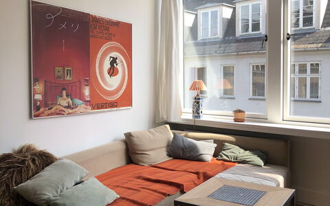 Købmagergade - Copenhagen Downtown: Living Room