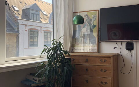 Købmagergade - Copenhagen Downtown: Living Room