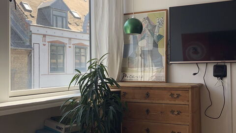 Købmagergade - Copenhagen Downtown: Living Room