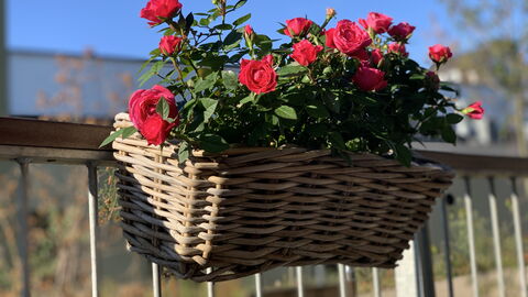 2 Bedrooms - 5 People - Close To Metro: Balcony / Terrace / Patio, Outdoor