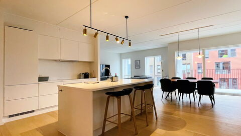 Nordhavn - Habour - 3 Bedrooms - 5 People: Dining Room, Kitchen, Living Room