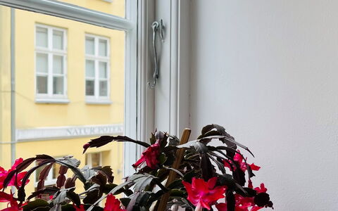 Close To Tivoli - 1 Bedroom - 4 People: Room Detail