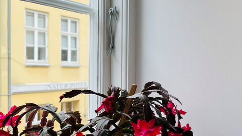 Close To Tivoli - 1 Bedroom - 4 People: Room Detail