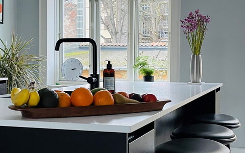 Frederiksberg - 3 Bedrooms - 2 Bathrooms - 5 Peopl: Kitchen