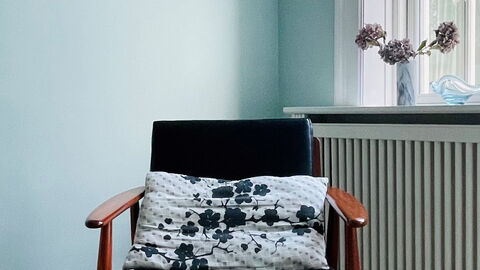 Frederiksberg - 3 Bedrooms - 2 Bathrooms - 5 Peopl: Living Room