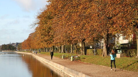 Close To The Lakes - Center - 2 People: Activities, Outdoor