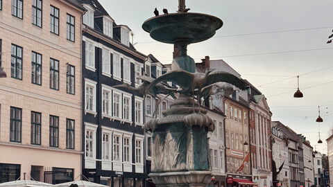 Super Central - Inner City - 6 Bedrooms: Outdoor