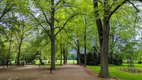 Østerbro - 1 Bedroom - 2 People: Outdoor