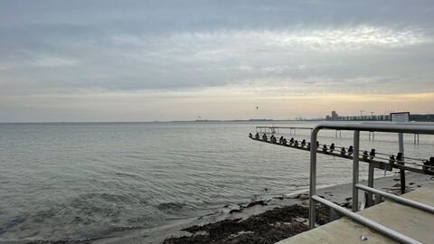 Luxury - Beach -hellerup - 8 People: Outdoor