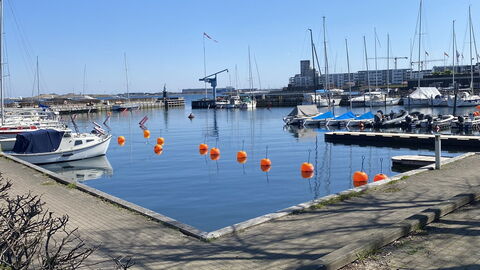 Luxury - Beach -hellerup - 8 People: Outdoor