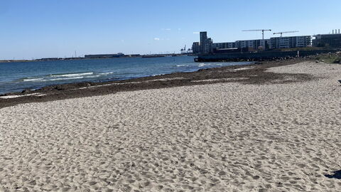 Luxury - Beach -hellerup - 8 People: Outdoor