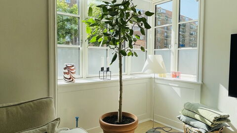 Østerbro - 3 Bedroom - 4 People: Room Detail