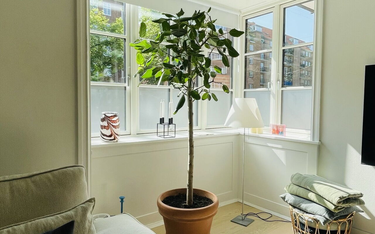 Image showcasing Luxury Apartment in the heart of Copenhagen - Airbnb