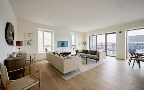 Exclusive- Center - 2br 2 Bath - Nyhavn - Min. 30 Days: Dining Room, Kitchen, Living Room