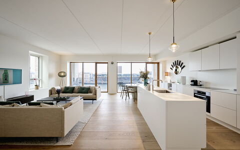 Exclusive- Center - 2br 2 Bath - Nyhavn - Min. 30 Days: Dining Room, Kitchen, Living Room