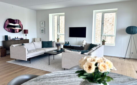 Exclusive- Center - 2br 2 Bath - Nyhavn - Min. 30 Days: Dining Room, Kitchen, Living Room