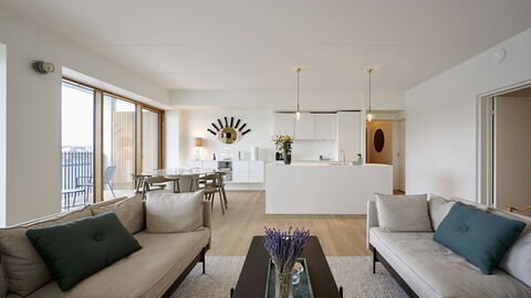 Exclusive- Center - 2br 2 Bath - Nyhavn - Min. 30 Days: Dining Room, Kitchen, Living Room